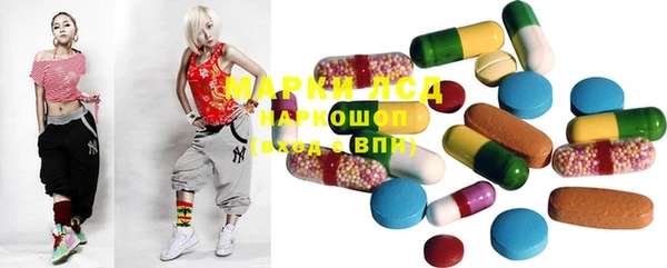 ECSTASY Кукмор