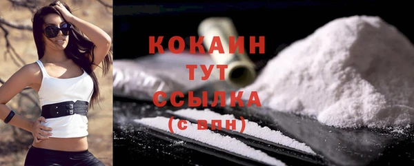 ECSTASY Кукмор