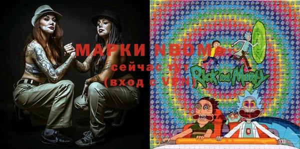 стафф Куйбышев