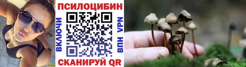 Псилоцибиновые грибы Psilocybine cubensis  что такое   hydra   Лермонтов 